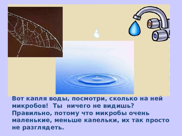 Вот капля воды, посмотри, сколько на ней микробов! Ты ничего не видишь? Правильно, потому что микробы очень маленькие, меньше капельки, их так просто не разглядеть.