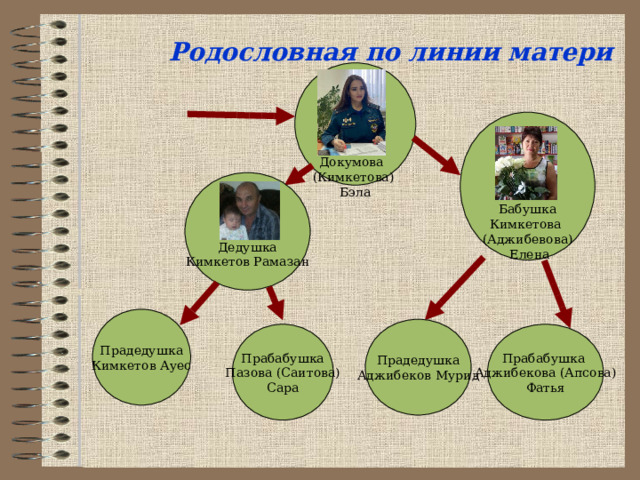 Родословная по линии матери Мама Докумова (Кимкетова) Бэла    Бабушка Кимкетова (Аджибевова)  Елена Дедушка Кимкетов Рамазан Прадедушка Кимкетов Ауес Прадедушка Аджибеков Мурид Прабабушка Аджибекова (Апсова) Фатья Прабабушка Пазова (Саитова) Сара