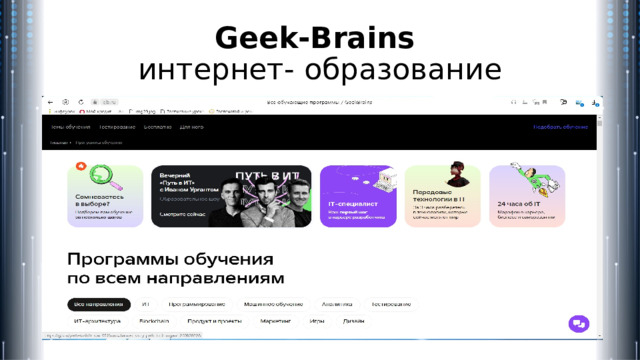Geek-Brains  интернет- образование