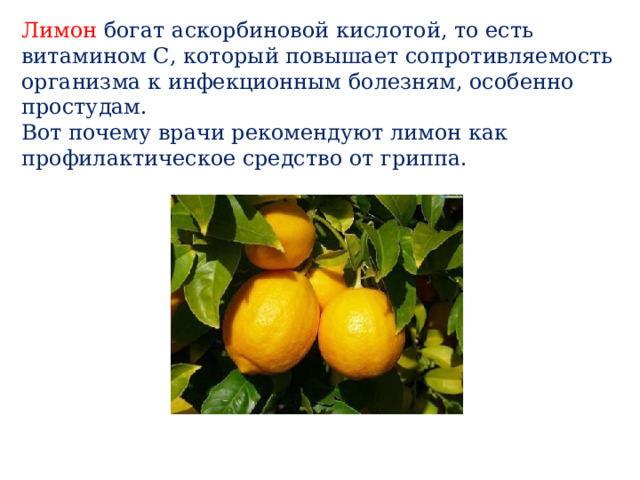 Лимон богат аскорбиновой кислотой, то есть витамином С, который повышает сопротивляемость организма к инфекционным болезням, особенно простудам.  Вот почему врачи рекомендуют лимон как профилактическое средство от гриппа.