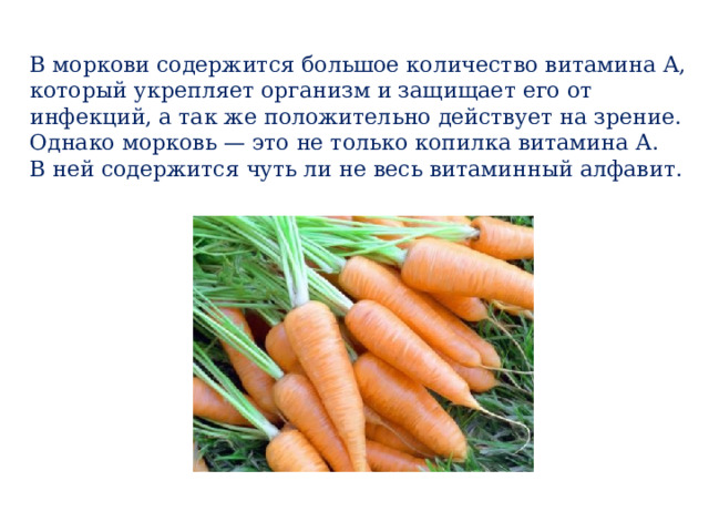 В моркови содержится большое количество витамина А, который укрепляет организм и защищает его от инфекций, а так же положительно действует на зрение. Однако морковь — это не только копилка витамина А. В ней содержится чуть ли не весь витаминный алфавит.