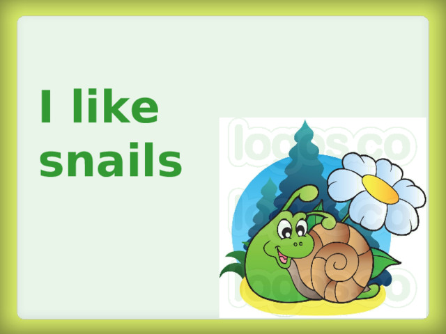 I like snails