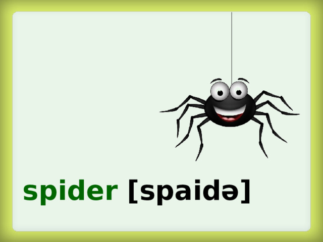 spider  [spaidə]