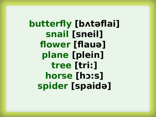 butterfly  [b ᴧ təflai] snail  [sneil] flower  [flauə]  plane  [plein]  tree  [tri:] horse  [hᴐ:s] spider  [spaidə]