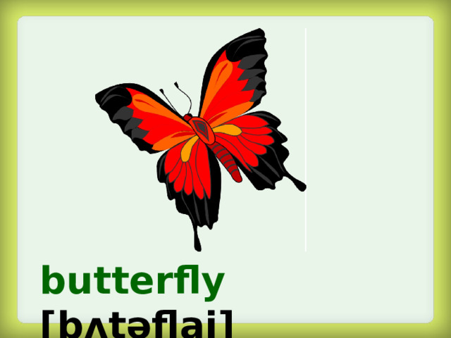 butterfly  [b ᴧ təflai]