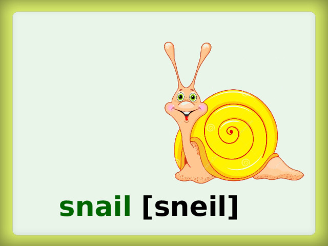snail  [sneil]