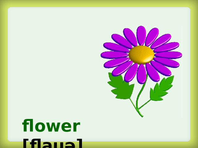 flower  [flauə]