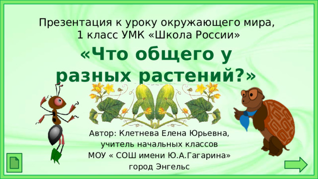 Презентация к уроку окружающего мира,  1 класс УМК «Школа России» «Что общего у разных растений?» Автор: Клетнева Елена Юрьевна, учитель начальных классов МОУ « СОШ имени Ю.А.Гагарина» город Энгельс