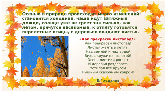 Осенью в природе происходит много изменений: становится холоднее, чаще идут затяжные дожди, солнце уже не греет так сильно, как летом, прячутся насекомые, к отлету готовятся перелетные птицы, с деревьев опадают листья. «Как прекрасен листопад!» Как прекрасен листопад!  Листья жёлтые летят!  Над землёй и над водой  Вихрь кружится золотой! Осень листики роняет  И деревья раздевает,  Устилая всё кругом  Пышным сказочным ковром!  Е.Груданов