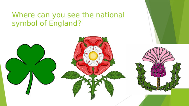 Where can you see the national symbol of England?