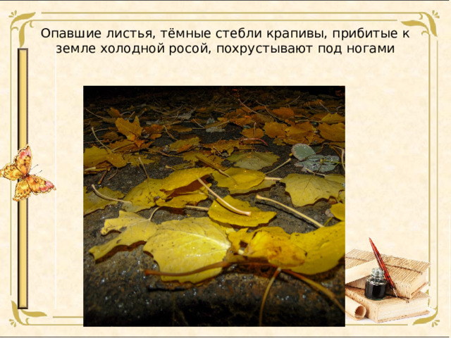 Опавшие листья, тёмные стебли крапивы, прибитые к земле холодной росой, похрустывают под ногами