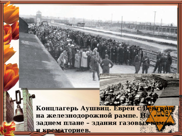 Концлагерь Аушвиц. Евреи с Венгрии на железнодорожной рампе. На заднем плане – здания газовых камер и крематориев.
