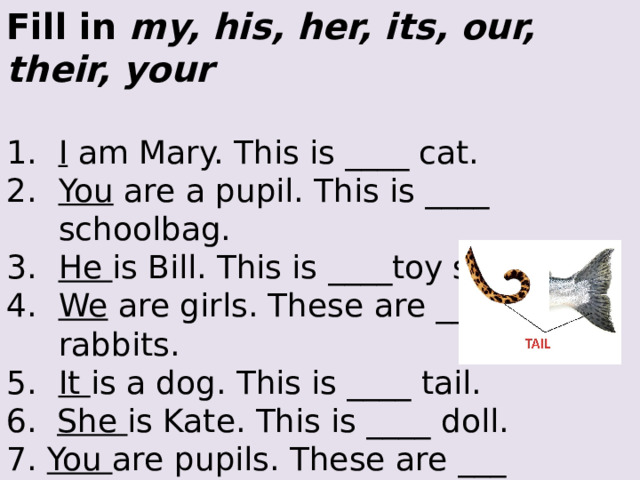 Fill in my, his, her, its, our, their, your  I am Mary. This is ____ cat. You are a pupil. This is ____ schoolbag. He is Bill. This is ____toy soldier. We are girls. These are ____ rabbits. It is a dog. This is ____ tail. 6. She is Kate. This is ____ doll. 7. You are pupils. These are ___ pencils. 8. They are boys. These are _____ books.