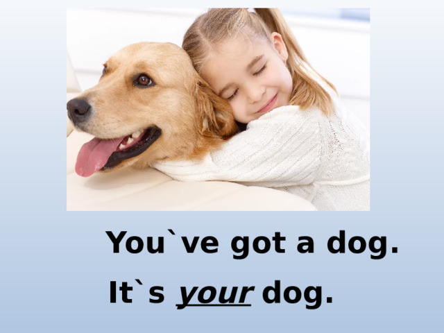 You`ve got a dog. It`s your dog.