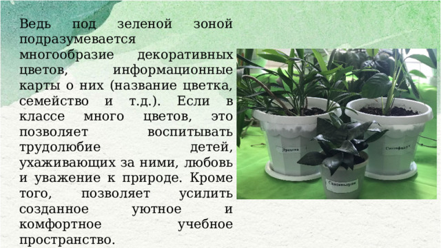 Ведь под зеленой зоной подразумевается многообразие декоративных цветов, информационные карты о них (название цветка, семейство и т.д.). Если в классе много цветов, это позволяет воспитывать трудолюбие детей, ухаживающих за ними, любовь и уважение к природе. Кроме того, позволяет усилить созданное уютное и комфортное учебное пространство.  Здесь так же можно поместить аквариум. Для релаксации детей, он научит детей ухаживать за животными