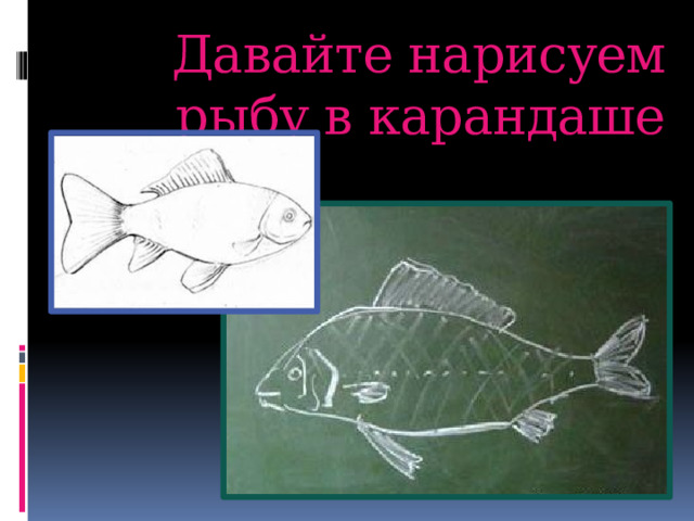 Давайте нарисуем рыбу в карандаше