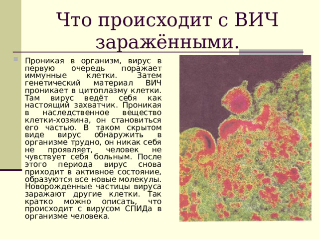 Что происходит с ВИЧ заражёнными. Проникая в организм, вирус в первую очередь поражает иммунные клетки. Затем генетический материал ВИЧ проникает в цитоплазму клетки. Там вирус ведёт себя как настоящий захватчик. Проникая в наследственное вещество клетки-хозяина, он становиться его частью. В таком скрытом виде вирус обнаружить в организме трудно, он никак себя не проявляет, человек не чувствует себя больным. После этого периода вирус снова приходит в активное состояние, образуются все новые молекулы. Новорожденные частицы вируса заражают другие клетки. Так кратко можно описать, что происходит с вирусом СПИДа в организме человека .