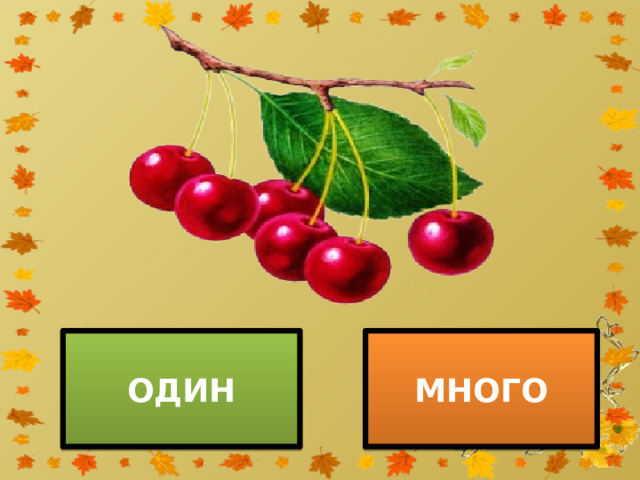 ОДИН МНОГО