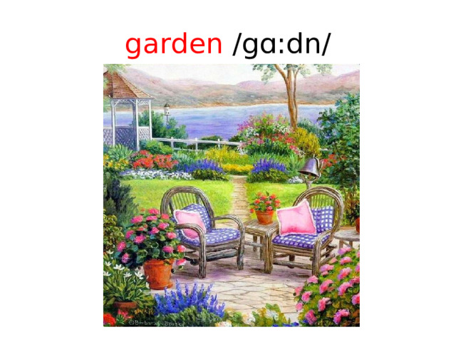 garden /gɑ:dn/