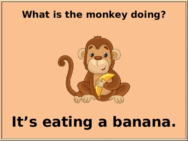 What is the monkey doing? It’s eating a banana.
