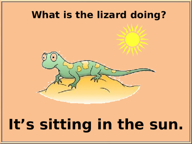 What is the lizard doing? It’s sitting in the sun.