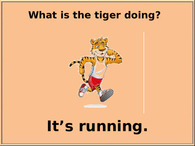 What is the tiger doing? It’s running.
