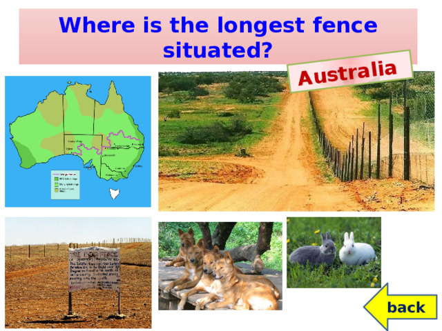 Australia  Where is the longest fence situated? back
