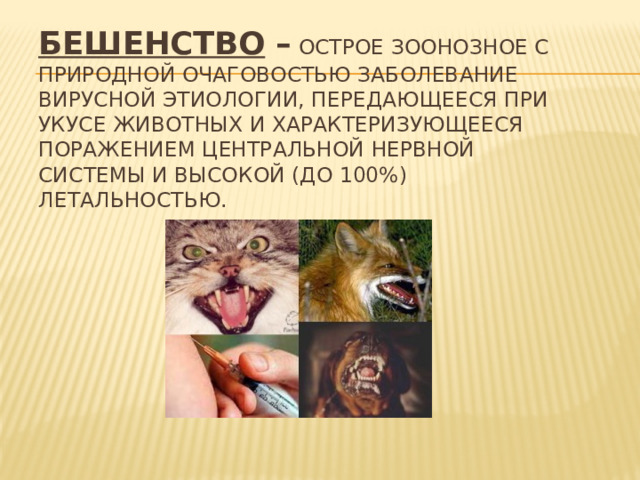 Бешенство – острое зоонозное с природной очаговостью заболевание вирусной этиологии, передающееся при укусе животных и характеризующееся поражением центральной нервной системы и высокой (до 100%) летальностью.