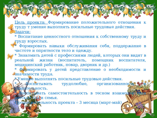 Цель проекта: Формирование положительного отношения к труду т умение выполнять посильные трудовые действия. Задачи: * Воспитание ценностного отношения к собственному труду и труду взрослых. * Формировать навыки обслуживания себя, поддержание в чистоте и опрятности тело и одежду. * Знакомить детей с профессиями людей, которых они видят в реальной жизни (воспитатель, помощник воспитателя, медицинский работник, повар, дворник и др.) * Формировать у детей представление о необходимости и значимости труда. * Умение выполнять посильные трудовые действия. * Воспитывать трудолюбие, организованность и старательность. * Воспитывать самостоятельность в тесном взаимодействии детский сад и семья. Продолжительность проекта – 3 месяца (март-май)