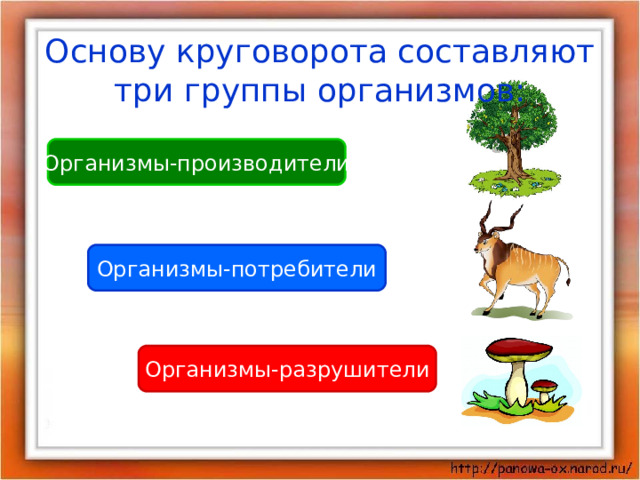 Основу круговорота составляют три группы организмов: Организмы-производители Организмы-потребители Организмы-разрушители