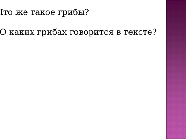 Что же такое грибы?