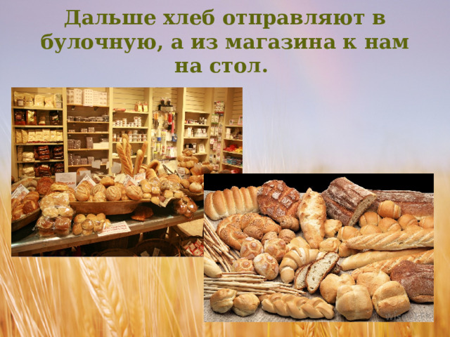 Дальше хлеб отправляют в булочную, а из магазина к нам на стол.
