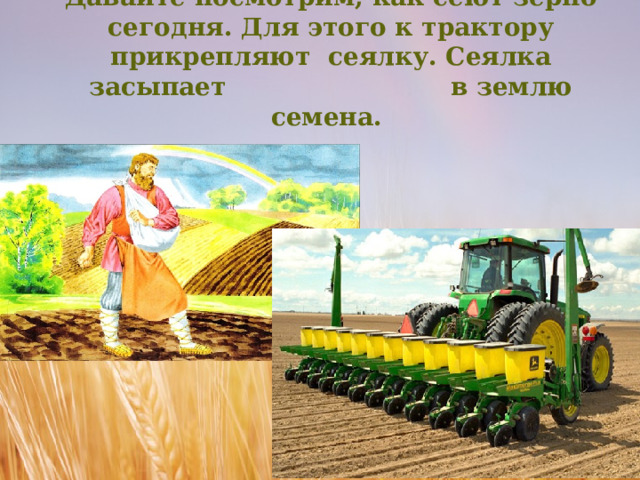 Раньше на Руси сеяли вручную. Давайте посмотрим, как сеют зерно сегодня. Для этого к трактору прикрепляют сеялку. Сеялка засыпает в землю семена.