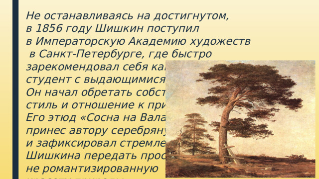 Не останавливаясь на достигнутом, в 1856 году Шишкин поступил в Императорскую Академию художеств​   в Санкт-Петербурге, где быстро зарекомендовал себя как блестящий студент с выдающимися способностями.  Он начал обретать собственный  стиль и отношение к природе.  Его этюд ​  «Сосна на Валааме»  принес автору серебряную медаль  и зафиксировал стремление  Шишкина передать простую,  не романтизированную  красоту природы.   Сосна на Валааме (1858 г)