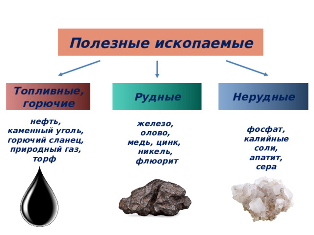 Полезные ископаемые Рудные Нерудные Топливные, горючие нефть, каменный уголь, горючий сланец, природный газ, торф железо,  олово, медь, цинк, никель,  флюорит фосфат, калийные соли, апатит, сера