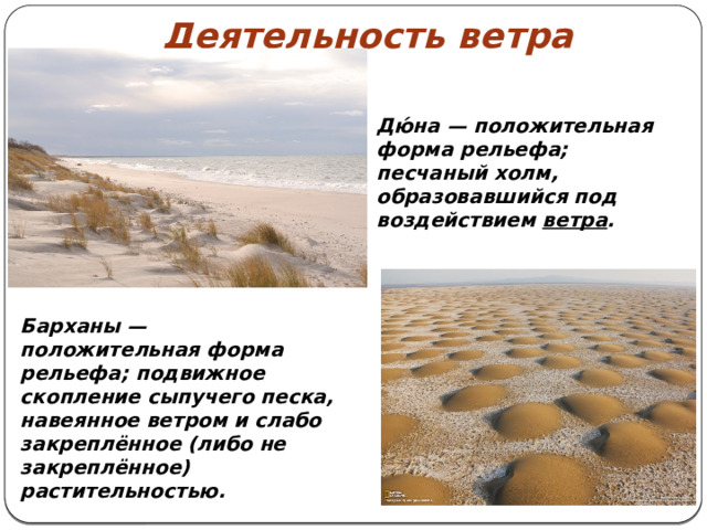 Деятельность ветра Дю́на — положительная форма рельефа; песчаный холм, образовавшийся под воздействием  ветра . Барханы — положительная форма рельефа; подвижное скопление сыпучего песка, навеянное ветром и слабо закреплённое (либо не закреплённое) растительностью.