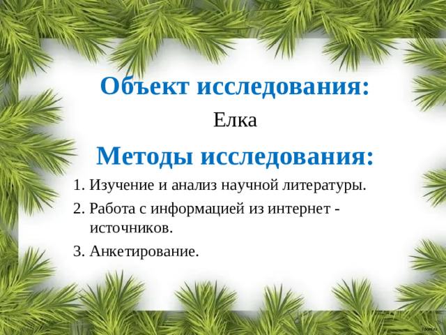 Объект исследования: Елка Методы исследования: 1. Изучение и анализ научной литературы. 2. Работа с информацией из интернет - источников. 3. Анкетирование.