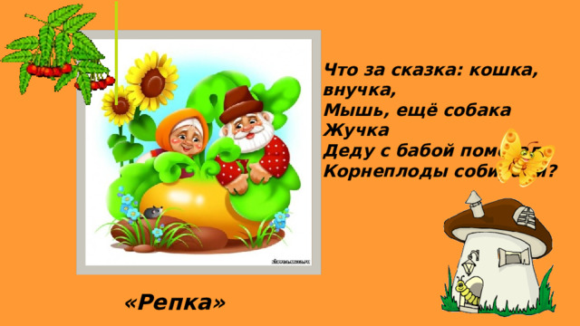 Что за сказка: кошка, внучка, Мышь, ещё собака Жучка Деду с бабой помогали Корнеплоды собирали? «Репка»