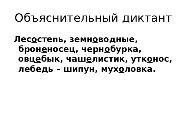 Объяснительный диктант  Лес о степь, земн о водные, брон е носец, черн о бурка, овц е бык, чаш е листик, утк о нос, лебедь – шипун, мух о ловка.