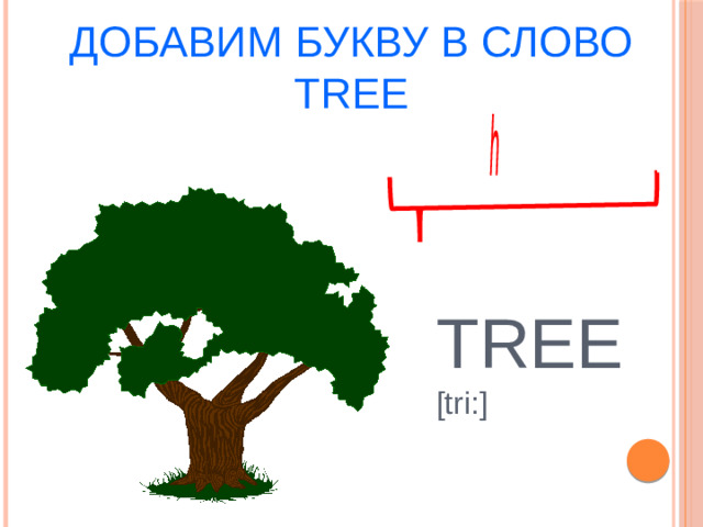 Добавим букву в слово TREE h TREE [tri:]