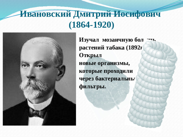Ивановский Дмитрий Иосифович  (1864-1920) Изучал мозаичную болезнь растений табака (1892г.). Открыл новые организмы, которые проходили через бактериальные фильтры.