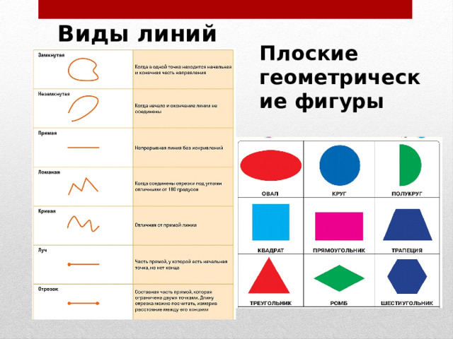 Виды линий Плоские геометрические фигуры