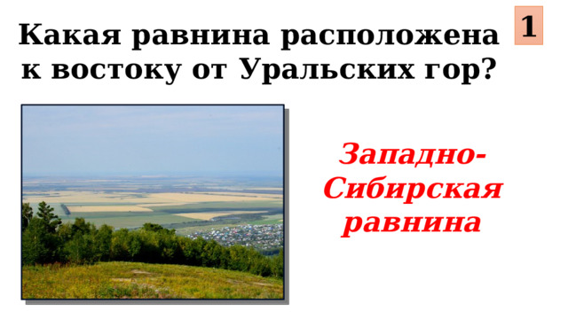 1 Какая равнина расположена к востоку от Уральских гор? Западно-Сибирская равнина