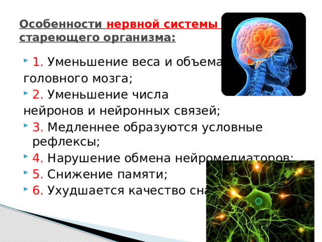 Особенности нервной системы  стареющего организма: 1. Уменьшение веса и объема головного мозга; 2. Уменьшение числа нейронов и нейронных связей;