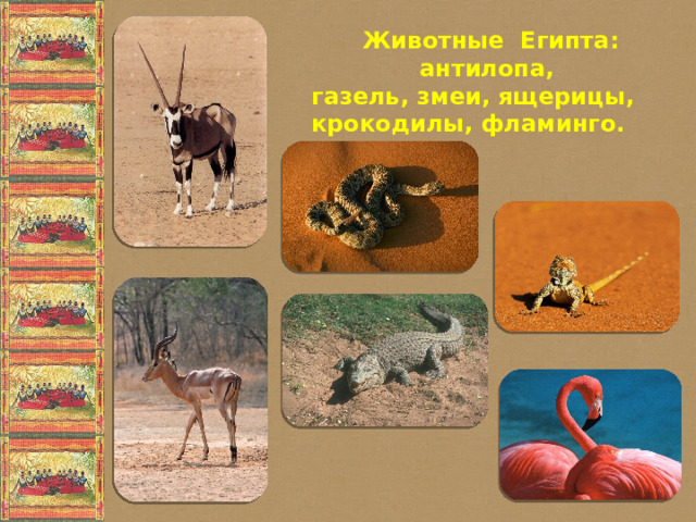 Животные Египта: антилопа, газель, змеи, ящерицы, крокодилы, фламинго.