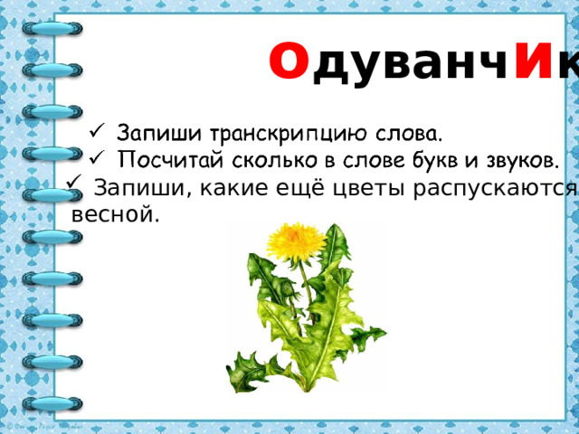 о дуванч и к Запиши, какие ещё цветы распускаются  весной.