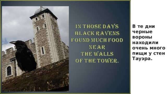 В те дни черные вороны находили очень много пищи у стен Тауэра.