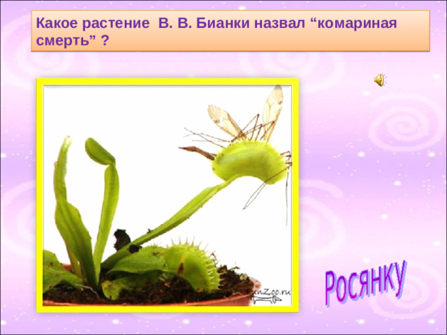 Какое растение В. В. Бианки назвал “комариная смерть” ?