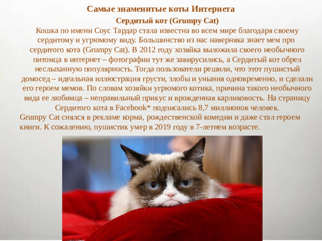 Самые знаменитые коты Интернета Сердитый кот (Grumpy Cat) Кошка по имени Соус Тардар стала известна во всем мире благодаря своему сердитому и угрюмому виду. Большинство из нас наверняка знает мем про  сердитого кота (Grumpy Cat). В 2012 году хозяйка выложила своего необычного питомца в интернет – фотографии тут же завирусились, а Сердитый кот обрел неслыханную популярность. Тогда пользователи решили, что этот пушистый домосед – идеальная иллюстрация грусти, злобы и уныния одновременно, и сделали его героем мемов. По словам хозяйки угрюмого котика, причина такого необычного вида ее любимца – неправильный прикус и врожденная карликовость. На страницу Сердитого кота в Facebook* подписались 8,7 миллионов человек. Grumpy Cat снялся в рекламе корма, рождественской комедии и даже стал героем книги. К сожалению, пушистик умер в 2019 году в 7-летнем возрасте.