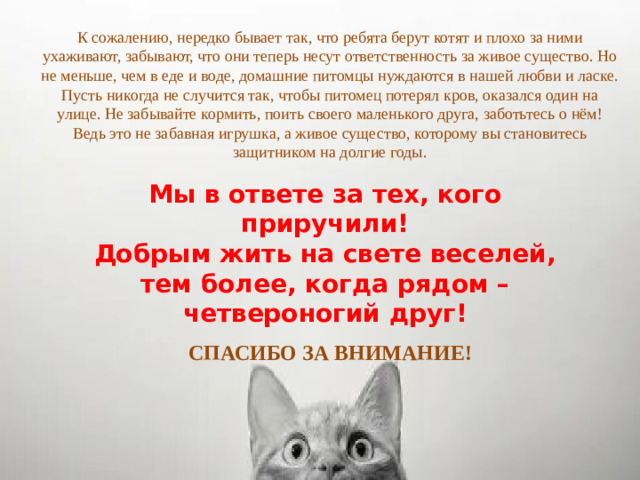 К сожалению, нередко бывает так, что ребята берут котят и плохо за ними ухаживают, забывают, что они теперь несут ответственность за живое существо. Но не меньше, чем в еде и воде, домашние питомцы нуждаются в нашей любви и ласке. Пусть никогда не случится так, чтобы питомец потерял кров, оказался один на улице. Не забывайте кормить, поить своего маленького друга, заботьтесь о нём! Ведь это не забавная игрушка, а живое существо, которому вы становитесь защитником на долгие годы. Мы в ответе за тех, кого приручили! Добрым жить на свете веселей, тем более, когда рядом – четвероногий друг! СПАСИБО ЗА ВНИМАНИЕ!